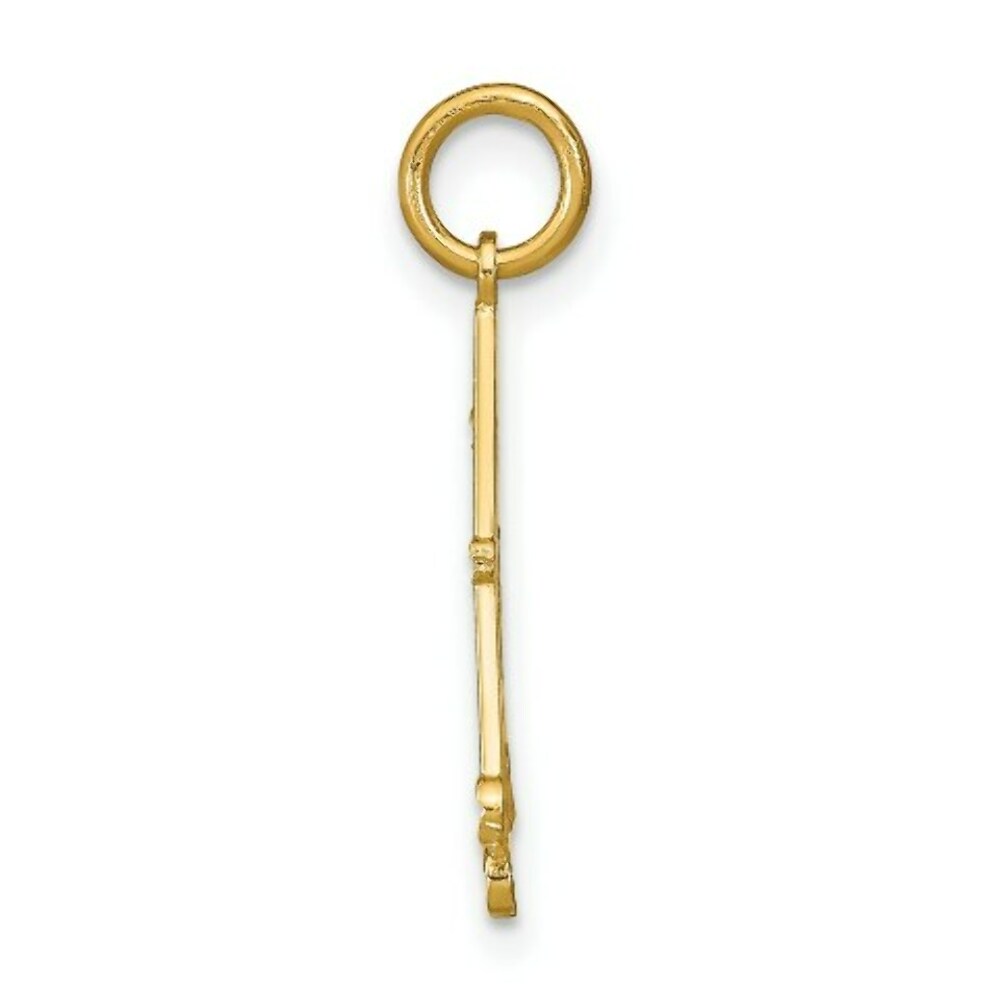 14K Yellow Gold with White Rhodium with Diamond-cut Chandellier Charm Pendant