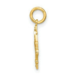 Load image into Gallery viewer, 14K Yellow Gold with White Rhodium with Diamond-cut Chandelier Style Charm Pendant
