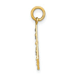 Load image into Gallery viewer, 14K Yellow Gold with White Rhodium with Diamond-cut Small Criss-Cross Charm Pendant
