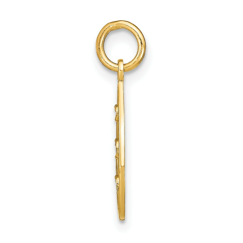 14K Yellow Gold with White Rhodium with Diamond-cut Small Teardrop Charm Pendant
