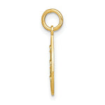 Load image into Gallery viewer, 14K Yellow Gold with White Rhodium with Diamond-cut Small Teardrop Charm Pendant
