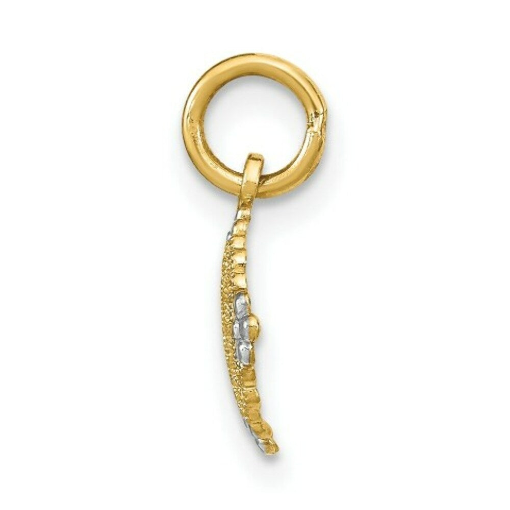 14K Yellow Gold with White Rhodium Diamond-cut Mini Filigree Medallion Charm Pendant