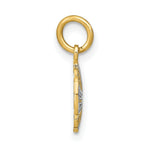Load image into Gallery viewer, 14K Yellow Gold with White Rhodium with Diamond-cut Mini Pinwheel Medallion Charm Pendant
