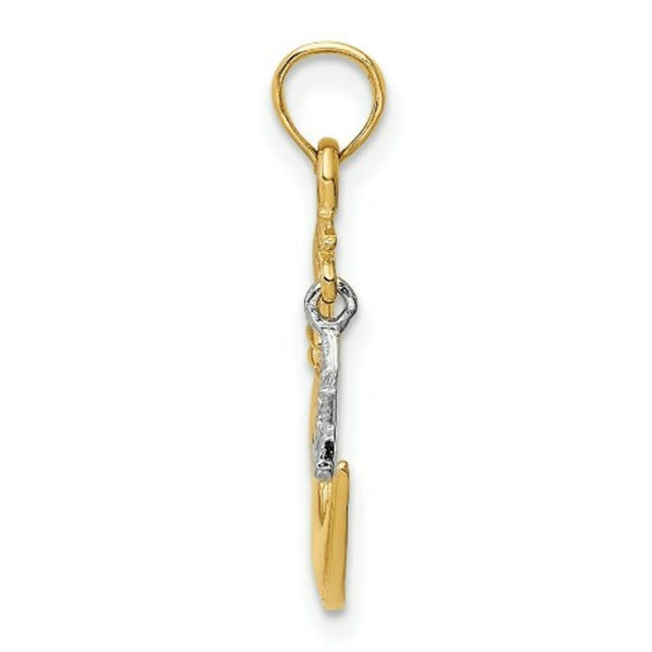 14K Two-tone Gold Polished Open-Backed Half Moon & Star Pendant