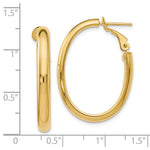 Load image into Gallery viewer, Leslie's 14K Yellow Gold Polished Oval Hoop Earrings 31mm length
