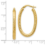 Load image into Gallery viewer, Leslie's 14K Yellow Gold ForeverLite Polished and Textured Oval Hoop Earrings
