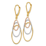 Load image into Gallery viewer, Leslies 14K Tri-Color Gold Dangle Leverback Earrings
