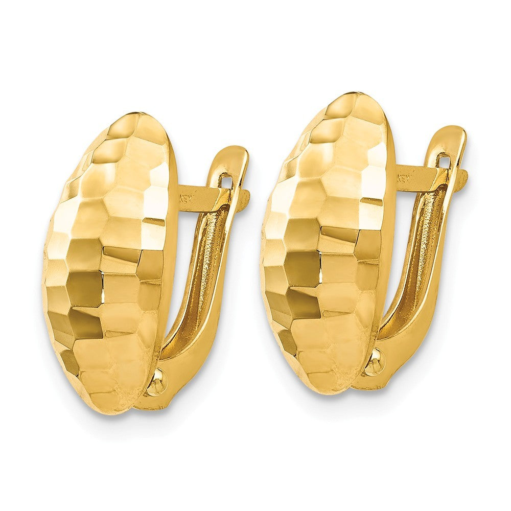 Leslie's 14K Yellow Gold Polished and Hammered Hinged Post Earrings