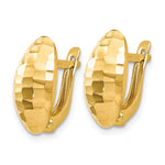 Load image into Gallery viewer, Leslie's 14K Yellow Gold Polished and Hammered Hinged Post Earrings
