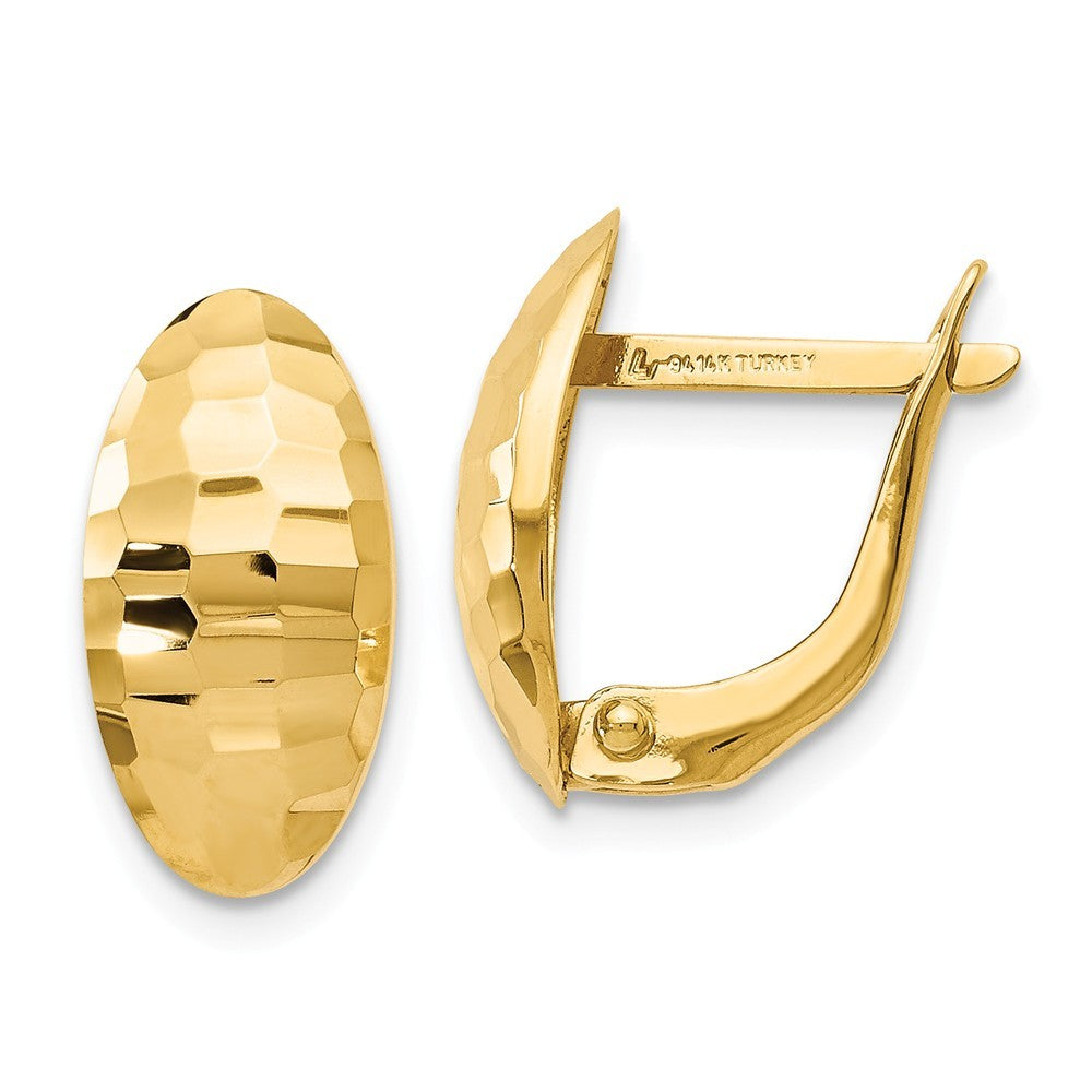 Leslie's 14K Yellow Gold Polished and Hammered Hinged Post Earrings