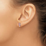 Load image into Gallery viewer, Sterling Silver Madi K Enameled Swarovski Elements Candy Cane Earrings
