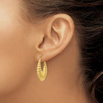 Load image into Gallery viewer, 14K Yellow Gold Polished Scalloped Hollow Hoop Earrings  14mm length

