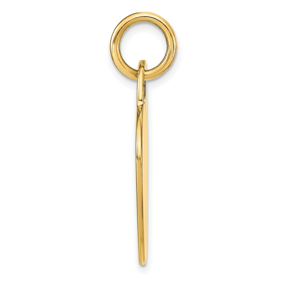 14K Yellow Gold Heart Disc Charm 23mm Diameter