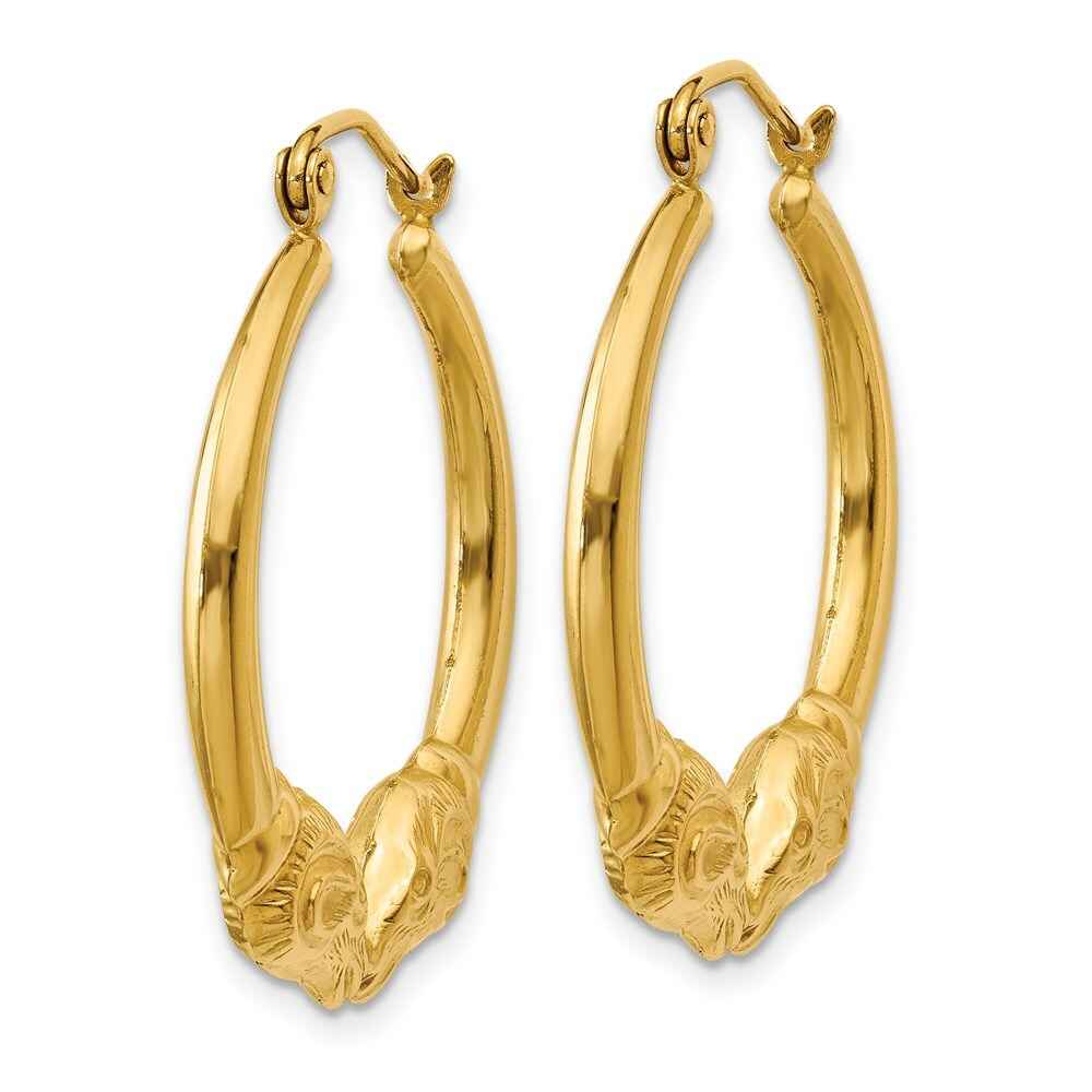 14K Yellow Gold Polished Ram Hoop Earrings  20mm length