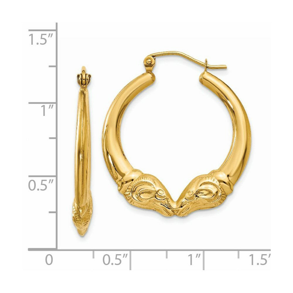 14K Yellow Gold Polished Ram Hoop Earrings  20mm length