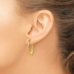 Load image into Gallery viewer, 14K Yellow Gold Polished Twisted Hollow Hoop Earrings  25mm length

