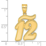 Load image into Gallery viewer, 14K Yellow Gold Polished Script Number 12 Pendant
