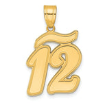 Load image into Gallery viewer, 14K Yellow Gold Polished Script Number 12 Pendant
