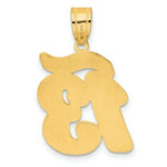 Load image into Gallery viewer, 14K Yellow Gold Polished Script Number 13 Pendant
