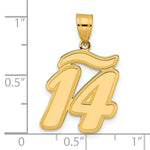 Load image into Gallery viewer, 14K Yellow Gold Polished Script Number 14 Pendant

