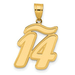 Load image into Gallery viewer, 14K Yellow Gold Polished Script Number 14 Pendant
