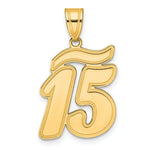 Load image into Gallery viewer, 14K Yellow Gold Polished Script Number 15 Pendant
