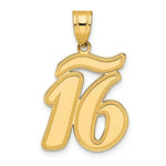 Load image into Gallery viewer, 14K Yellow Gold Polished Script Number 16 Pendant
