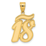 Load image into Gallery viewer, 14K Yellow Gold Polished Script Number 18 Pendant
