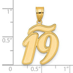 Load image into Gallery viewer, 14K Yellow Gold Polished Script Number 19 Pendant
