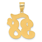 Load image into Gallery viewer, 14K Yellow Gold Polished Script Number 38 Pendant
