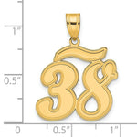Load image into Gallery viewer, 14K Yellow Gold Polished Script Number 38 Pendant
