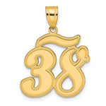 Load image into Gallery viewer, 14K Yellow Gold Polished Script Number 38 Pendant
