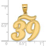 Load image into Gallery viewer, 14K Yellow Gold Polished Script Number 39 Pendant
