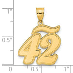 Load image into Gallery viewer, 14K Yellow Gold Polished Script Number 42 Pendant
