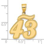Load image into Gallery viewer, 14K Yellow Gold Polished Script Number 43 Pendant
