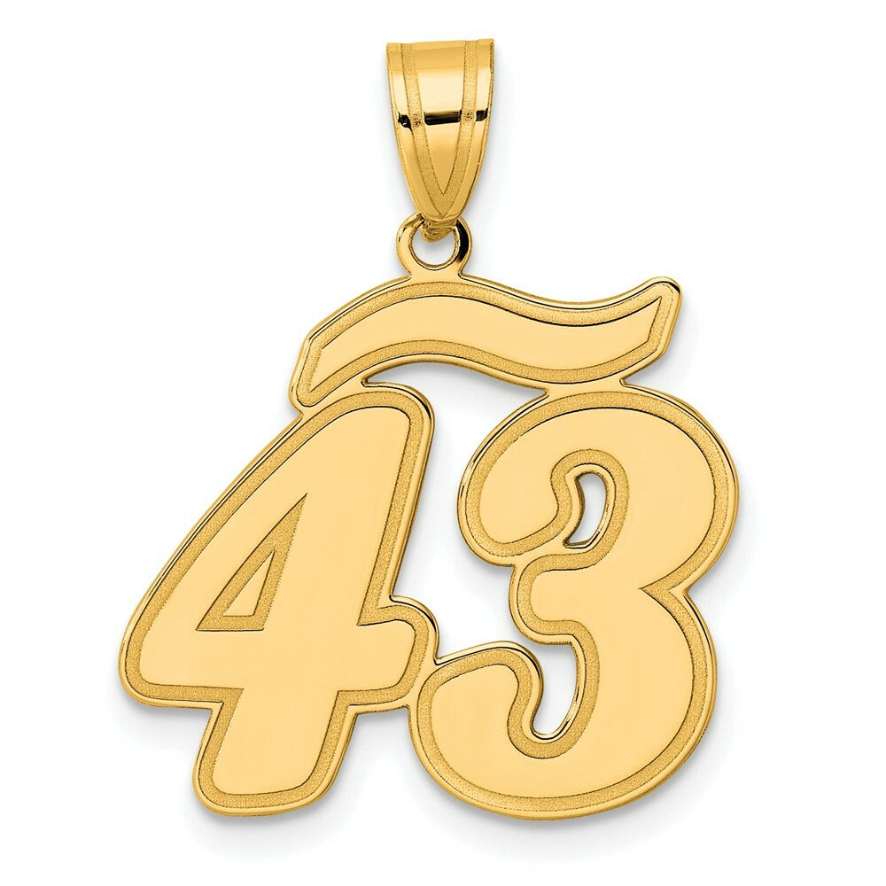 14K Yellow Gold Polished Script Number 43 Pendant