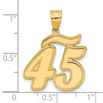 Load image into Gallery viewer, 14K Yellow Gold Polished Script Number 45 Pendant

