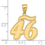 Load image into Gallery viewer, 14K Yellow Gold Polished Script Number 46 Pendant
