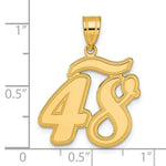 Load image into Gallery viewer, 14K Yellow Gold Polished Script Number 48 Pendant
