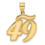 Load image into Gallery viewer, 14K Yellow Gold Polished Script Number 49 Pendant
