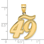 Load image into Gallery viewer, 14K Yellow Gold Polished Script Number 49 Pendant
