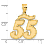 Load image into Gallery viewer, 14K Yellow Gold Polished Script Number 55 Pendant
