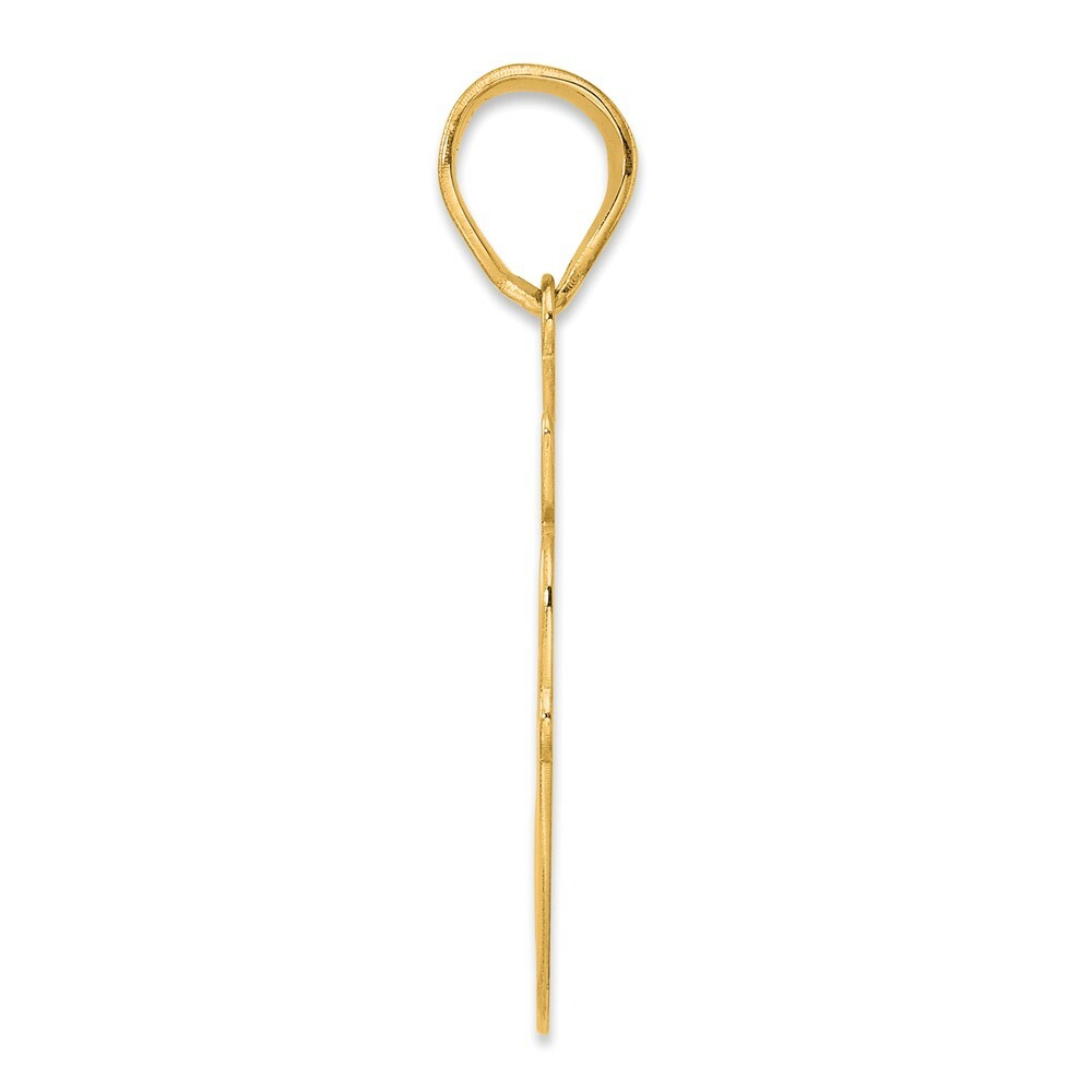 14K Yellow Gold Polished Script Number 60 Pendant