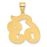 Load image into Gallery viewer, 14K Yellow Gold Polished Script Number 63 Pendant
