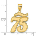Load image into Gallery viewer, 14K Yellow Gold Polished Script Number 75 Pendant

