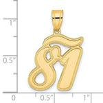 Load image into Gallery viewer, 14K Yellow Gold Polished Script Number 81 Pendant

