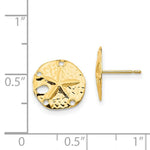 Load image into Gallery viewer, 14K Yellow Gold Madi K Sand Dollar Post Earrings
