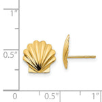 Load image into Gallery viewer, 14K Yellow Gold Madi K Shell Post Earrings
