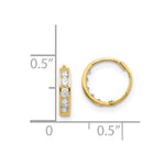 Load image into Gallery viewer, 14K Yellow Gold Madi K CZ Hinged 10mm Hoop Earrings

