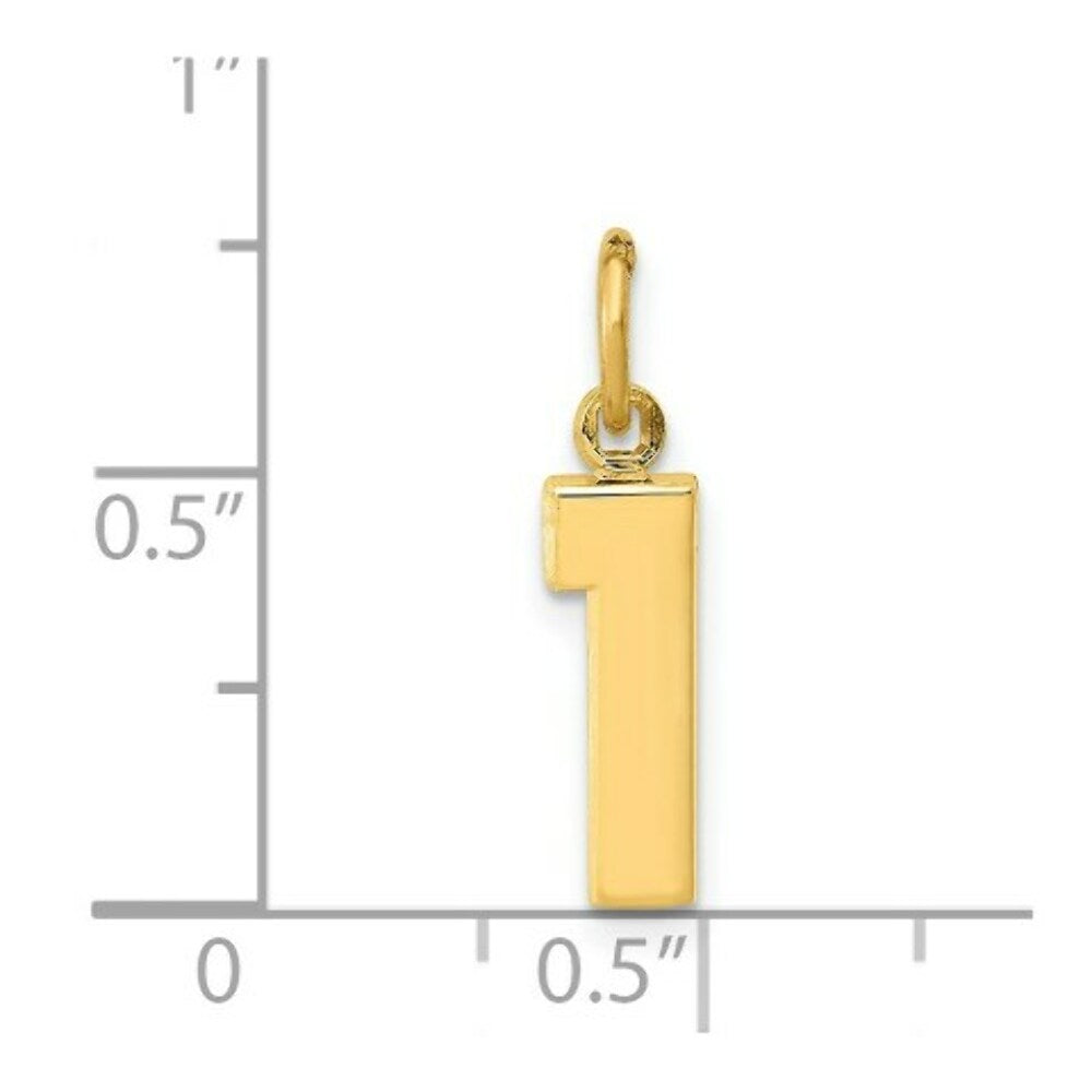 14K Yellow Gold Casted Small Polished Number 6 Charm
